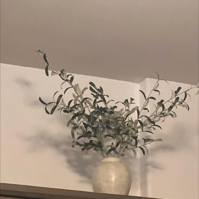 Guest review image 1 of 1, zoom in