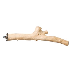 Prevue Pet Products 9 inch Straight Branch Coffea Wood Bird Perch 1040 - 1 of 3