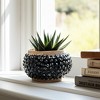 Terracotta Textured Round Bubble Planter Pot for Indoor and Outdoor Display - Unique Design for House, Garden, and Patio Decor - 7" Black & Brown - 4 of 4