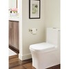 Amerock Davenport Wall Mounted Pivoting Double Post Toilet Paper Holder - 2 of 4