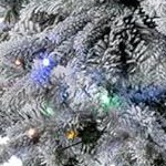 6ft 458 pieces 200 heads 8-function color lights