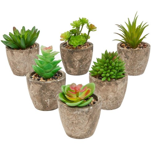 6 Pack Artificial Succulents 2 7 To 4 Inches Green And Red Cactus Plants With Gray Pots Target