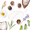 Tree To Tub Lavender Shea Butter Body Lotion for Dry Skin - Moisturizing Sensitive Skin Lotion for Women & Men, Body Moisturizer (Pack of 2) - 2 of 4