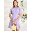 Allegra K Women's Elegant Short Sheer Sleeve Ruffle Hem Swiss Dots Chiffon Dress - 2 of 4