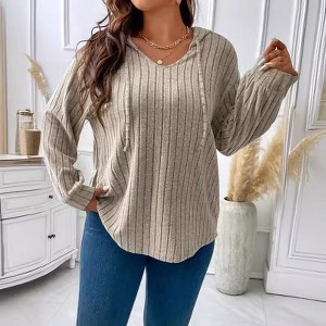 Plus Size Women's Tops Loose V-Neck Hooded Long Sleeve Striped Brushed T-Shirt - 1 of 4