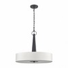 Elk Home Leo 4 - Light Pendant in  Matte Black - 3 of 3