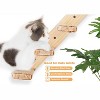Wall Cat Tree for Climbing, 1PC Four-Step Cat Climber Shelf with Jute Scratcher Rope, Space-Saving Cat Shelf - 3 of 4