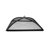 Blue Sky Outdoor Living Domed Spark Screen and Screen Lift - 2 of 4