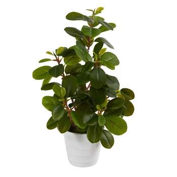 Nearly Natural 16-in Peperomia Artificial Plant in Decorative Planter
