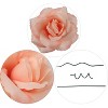 Floral Home 8" Pick Blush Pink Rose - 50-Piece - 2 of 4