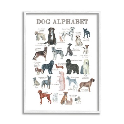 Stupell Industries Dog Alphabet Animal ABC's Framed Giclee