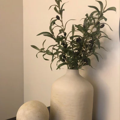 user image by Best Target Finds