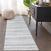Acekool Striped Area Rug Modern Foldable Washable Non-Slip Soft Plush, Entryway & Bedroom Rug - 2 of 4