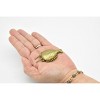 Collectible Wildlife Gifts | Sidneyia, Arthropod Fossil, Cambrian Sea Animal, Very Nice Plastic Reproduction    2"    F3476 B352 - 3 of 4