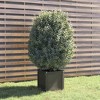 vidaXL Garden Planter Gray 15.7"x15.7"x15.7" Solid Wood Pine - 2 of 4