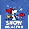 Boys' - Peanuts - Snoopy and Woodstock Snow Much Fun Short Sleeve Graphic T-Shirt - 2 of 4