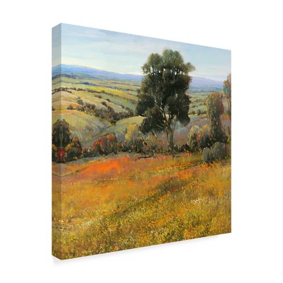 Trademark Fine Art -Tim Otoole 'Field In Summer' Canvas Art