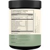 Terra Origin Healthy Gut Powder Mint - 7.83oz - 3 of 4
