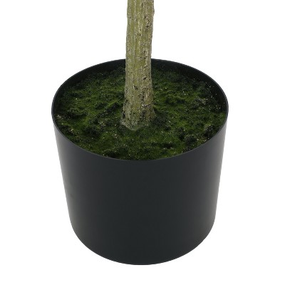 6.5' Green Artificial Eucalyptus Tree in Black Plastic Pot