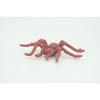 Collectible Wildlife Gifts | Spider,  Rubber Insect, Educational, Realistic Hand Painted,  Model,   Gift,     2"   US17 B44 - 4 of 4