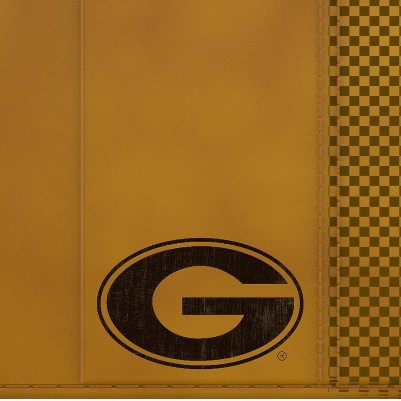 georgia bulldogs