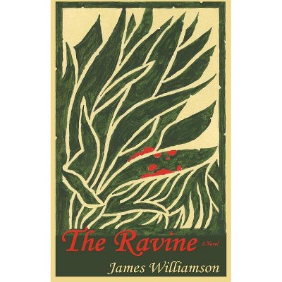 The Ravine - by  James Williamson (Paperback)