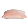 Parkland Collection,Bashira Transitional Throw Pillow - 2 of 4