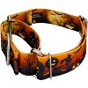 Country Brook Petz 1 1/2 Martingale Dog Collar - Halloween Collection - 2 of 4