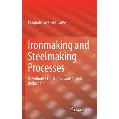 Ironmaking and Steelmaking Processes - by  Pasquale Cavaliere (Hardcover)