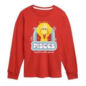 Boys' - Sesame Street - Pisces Big Bird -Toddler and Youth Long Sleeve T-Shirt Long Sleeve Graphic T-Shirt - 1 of 3