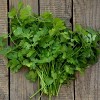 Rani Brand Authentic Indian Foods | Fresh Leaves - 2 of 4