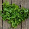 Fresh Cilantro (Coriander) Leaves - 2.5-3.5oz - Rani Brand Authentic Indian Products - image 2 of 4