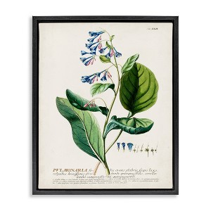 Stupell Industries Botanical Blue Flowers Vintage Design Floating Frame Canvas Art - 1 of 4