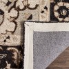 Chelsea HK709 Handmade Rug - Safavieh - 4 of 4