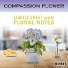 Mrs. Meyer's Clean Day Room Spray Air Freshener - Compassion Flower - 8 fl oz - 4 of 4