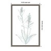 Amanti Art Lambs Ear Sage IV Bleached by Chris Paschke Framed Canvas Wall Art - 4 of 4