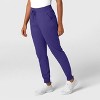Wink Boundless Women's Jogger Scrub Pant, 4X. - 3 of 4