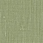 chambray olive