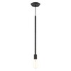 Livex Lighting Prague 1 - Light Pendant in  Black - 2 of 4