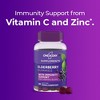 One-A-Day Elderberry Gummies with Immunity Support, Vitamin C & Zinc, 60 Count - 2 of 4