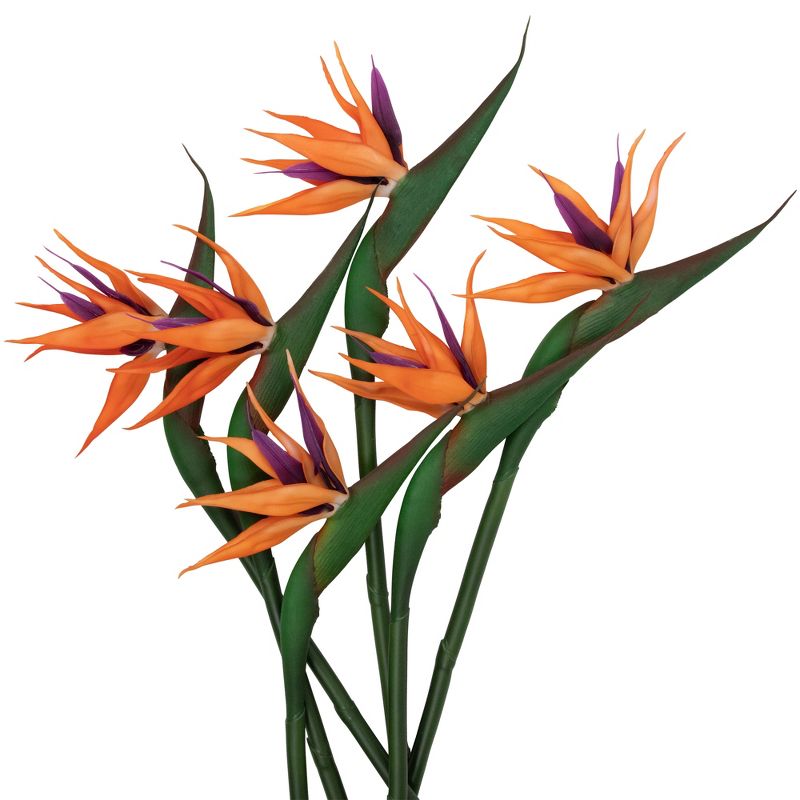 Northlight Real Touch™ Bird of Paradise Artificial Floral Stems, Set of 6 - 33", 5 of 10