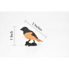 Collectible Wildlife Gifts | Oriole, Baltimore, Rubber Bird, Educational, Realistic, Hand Painted,  Model,   Gift,      2"     F3392 B27 - 2 of 4