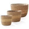 Casafield Set of 3 Seagrass Planter Baskets, Hand Woven Indoor Flower Pot Covers with Liners for Plants, Succulents, Home Decor - image 3 of 4