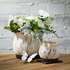 Sullivans 3.5", 4.5" & 5.25" Scalloped Floral Planter Set of 3, Multicolored - 3 of 4