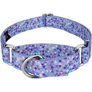 Country Brook Petz Martingale Dog Collar - Abstract Collection - 1 of 4