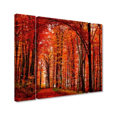 Philippe Sainte-Laudy 'The Red Way' Floating Brushed Aluminum Art