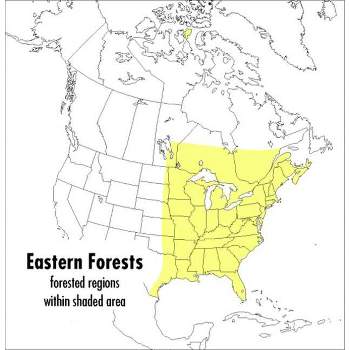 A Peterson Field Guide to Eastern Forests - (Peterson Field Guides) by  John Kricher (Paperback)