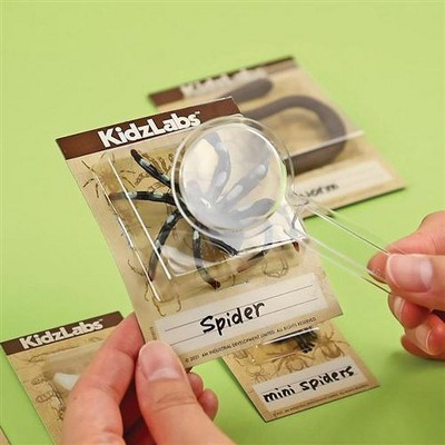 4M Kidzlabs: Creepy Crawly Digging Kit P3397