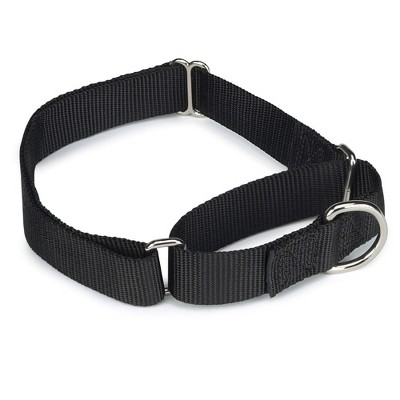 Guardian Gear Nylon Martingale Dog Collar, Fits Necks 14" to 20", Black