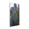 Stupell Industries Prickly Cactus Thorns Close Up Photography Desert Vegetation Wall Plaque Art, 10" x 15" - 2 of 4